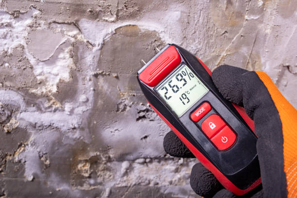 Professional Mold Remediation in Brownsburg, IN